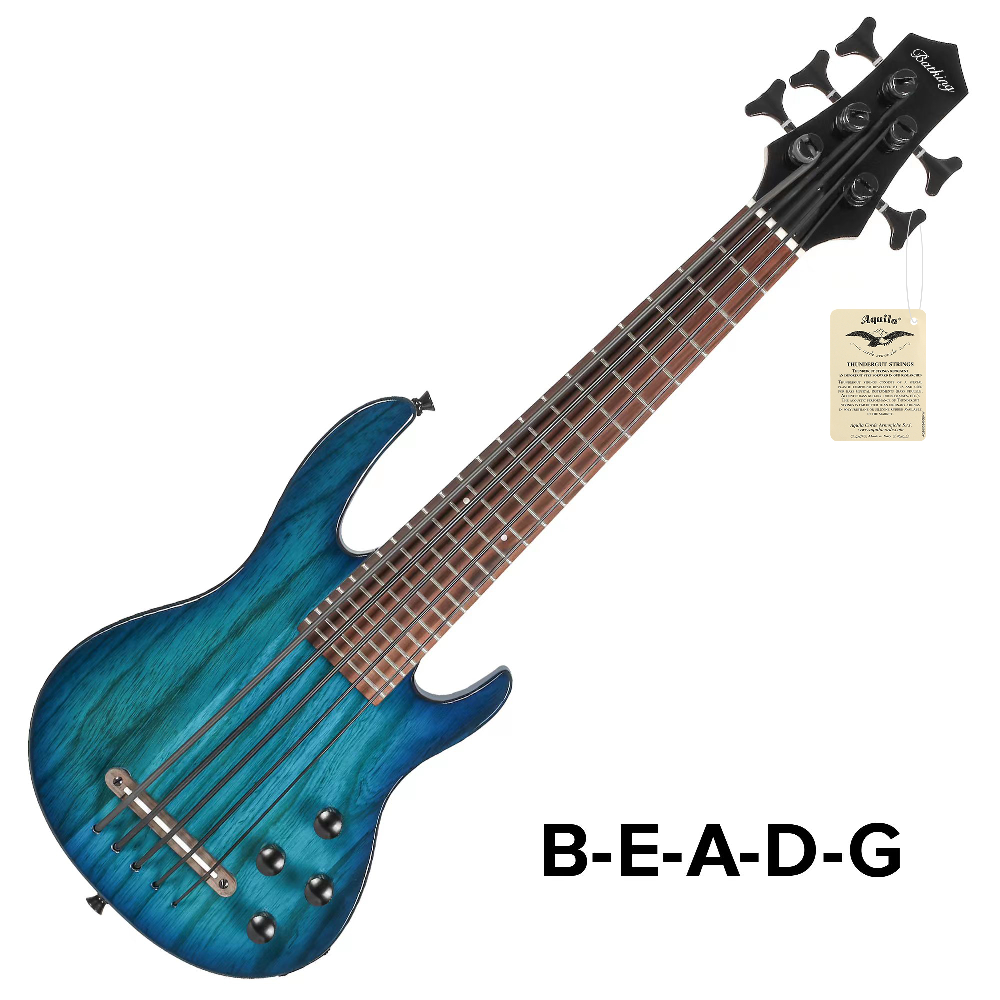 MiNi 5string ukulele electric bass with gigbag(UBE 05)