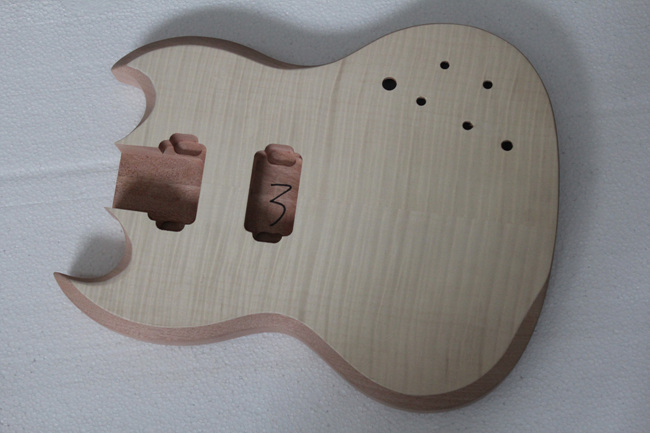 PROJECT ELECTRIC GUITAR BUILDER KIT DIY(GK16)