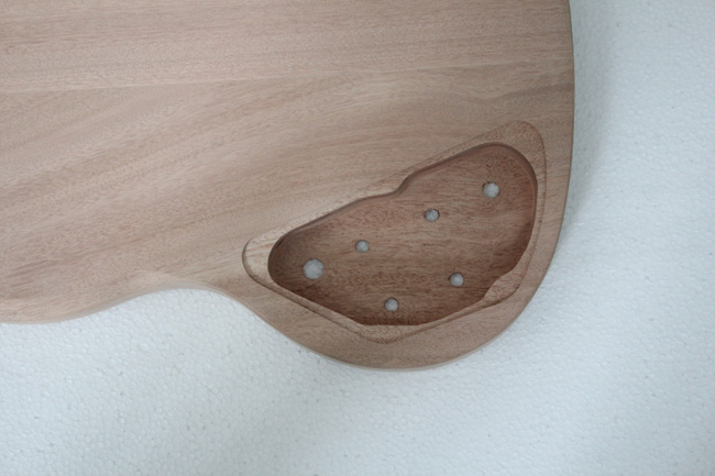 PROJECT ELECTRIC GUITAR BUILDER KIT DIY(GK16)